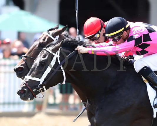 Most Wanted - The Ellis Park Derby 7Th Running 08-11-24 R06 Elp Inside Finish 01