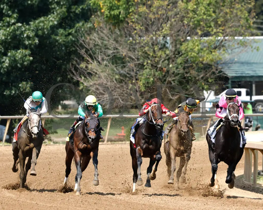 Most Wanted - The Ellis Park Derby 7Th Running 08-11-24 R06 Elp Turn 01