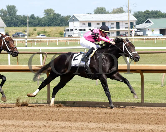 Most Wanted - The Ellis Park Derby 7Th Running 08-11-24 R06 Elp Turn 02