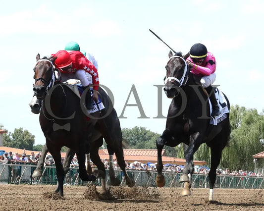 Most Wanted - The Ellis Park Derby 7Th Running 08-11-24 R06 Elp Under Rail 01