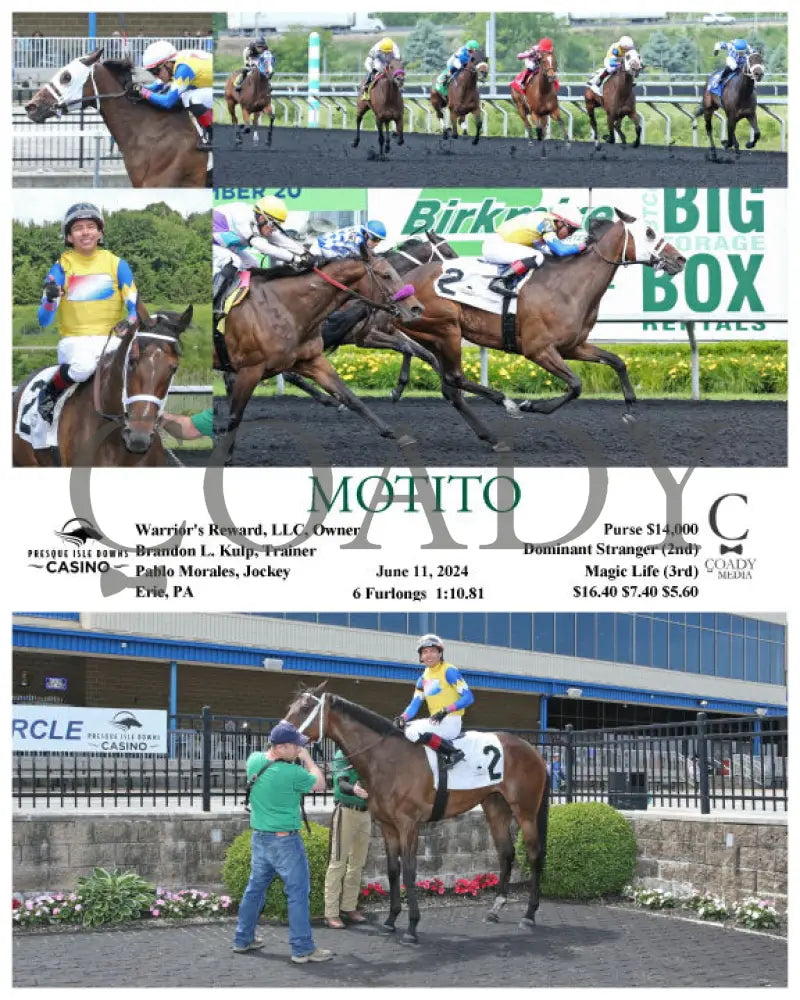 Motito - 06-11-24 R01 Pid Presque Isle Downs