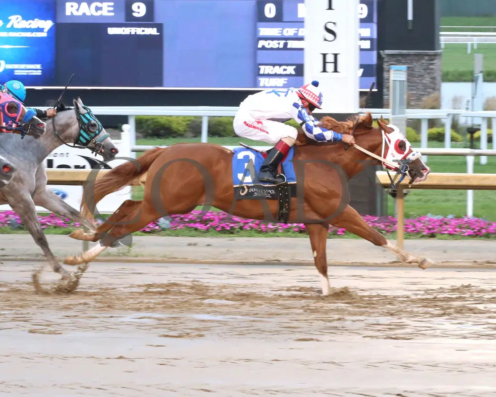 MR BOOOMBASTIC - Mari Hulman George Overnight Stakes - 07-31-25 - R09 - Horseshoe Indiana - Finish 01 - Sammantha