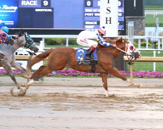 MR BOOOMBASTIC - Mari Hulman George Overnight Stakes - 07-31-25 - R09 - Horseshoe Indiana - Finish 01 - Sammantha
