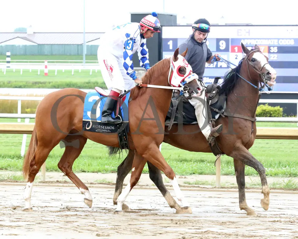 MR BOOOMBASTIC - Mari Hulman George Overnight Stakes - 07-31-25 - R09 - Horseshoe Indiana - Post Parade 01 - Sammantha