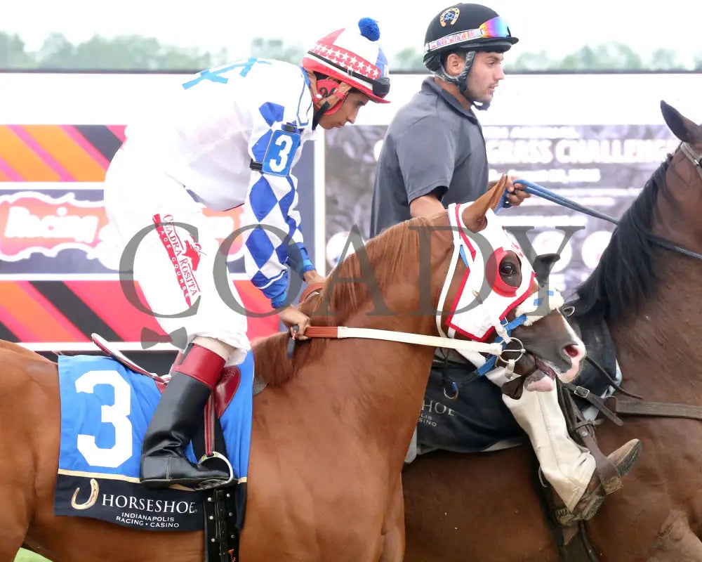 MR BOOOMBASTIC - Mari Hulman George Overnight Stakes - 07-31-25 - R09 - Horseshoe Indiana - Post Parade 02 - Sammantha
