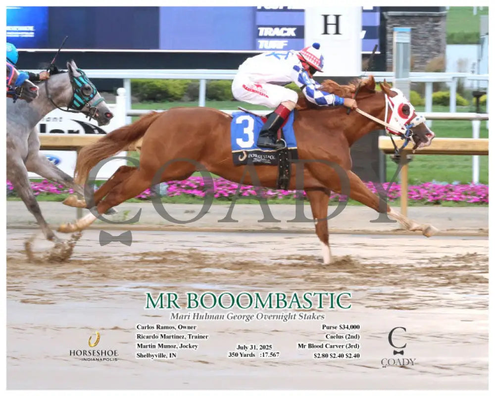MR BOOOMBASTIC - Mari Hulman George Overnight Stakes - 07-31-25 - R09 - IND - Action Indiana Grand