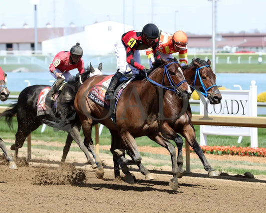 Mr Chaos - Dark Side Of The Moon Overnight Handicap 04 - 08 - 24 R06 Horseshoe Indiana Finish 02
