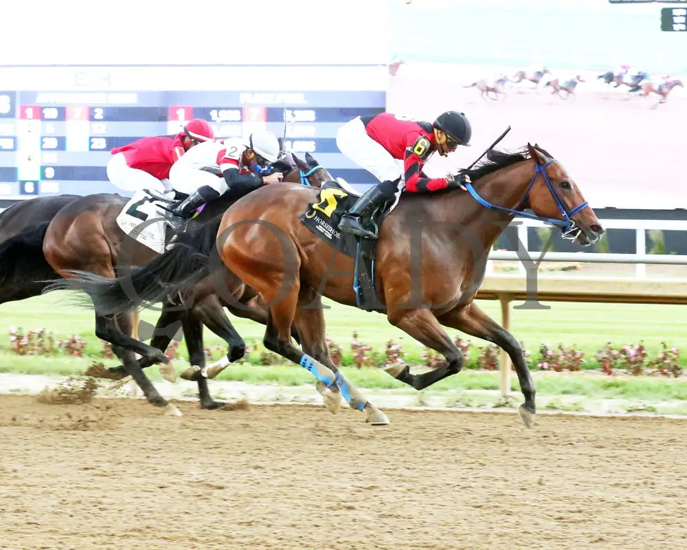 Mr Chaos - William Henry Harrison 20Th Running 06-05-24 R08 Horseshoe Indiana Finish 01 Sammantha