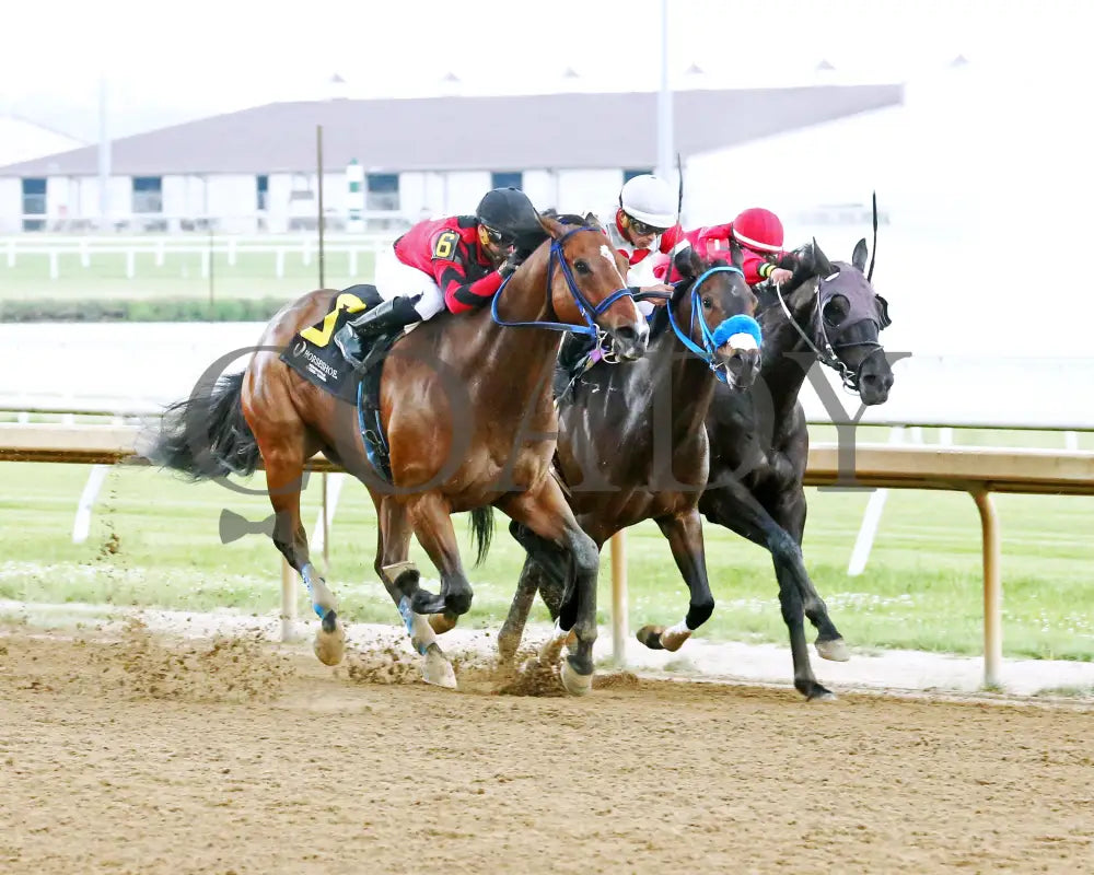 Mr Chaos - William Henry Harrison 20Th Running 06-05-24 R08 Horseshoe Indiana Finish 02 Sammantha