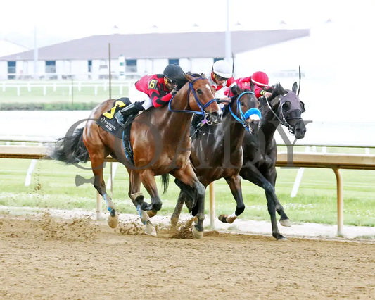 Mr Chaos - William Henry Harrison 20Th Running 06-05-24 R08 Horseshoe Indiana Finish 02 Sammantha