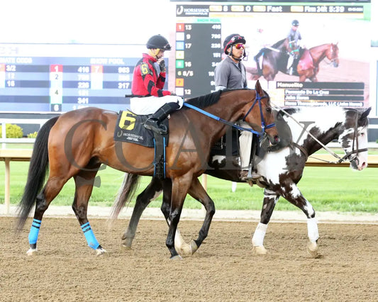 Mr Chaos - William Henry Harrison 20Th Running 06-05-24 R08 Horseshoe Indiana Post Parade 01