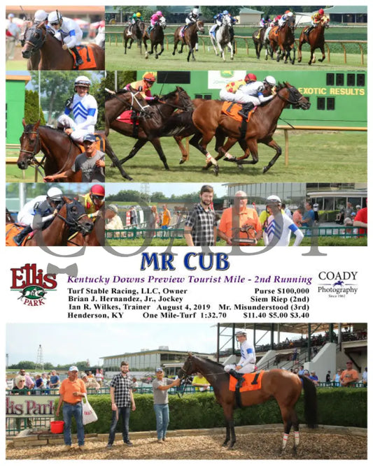 Mr Cub - Kentucky Downs Preview Tourist Mile 2Nd Running 08-04-19 R07 Elp Ellis Park