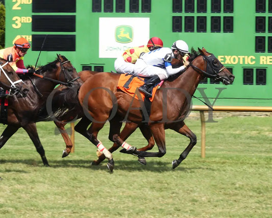 Mr Cub - Kentucky Downs Preview Tourist Mile 2Nd Running 08-04-19 R07 Elp Finish 01 Ellis Park