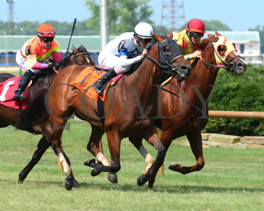 Mr Cub - Kentucky Downs Preview Tourist Mile 2Nd Running 08-04-19 R07 Elp Finish 02 Ellis Park
