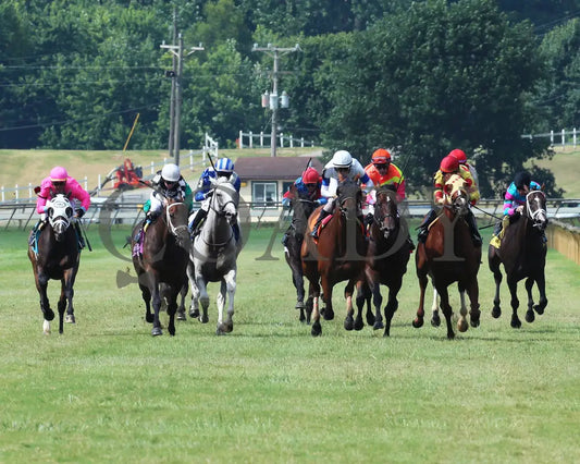 Mr Cub - Kentucky Downs Preview Tourist Mile 2Nd Running 08-04-19 R07 Elp Head On 01 Ellis Park