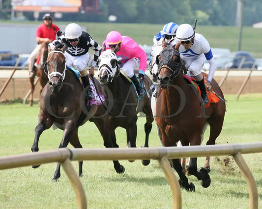 Mr Cub - Kentucky Downs Preview Tourist Mile 2Nd Running 08-04-19 R07 Elp Inside Finish 01 Ellis