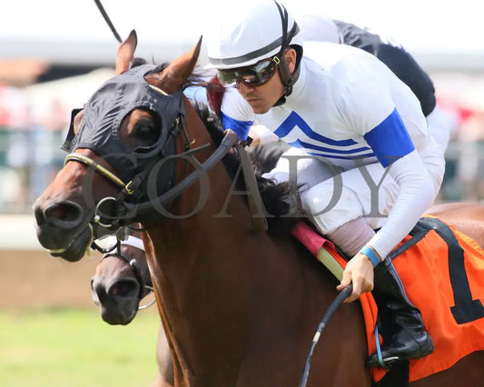 Mr Cub - Kentucky Downs Preview Tourist Mile 2Nd Running 08-04-19 R07 Elp Inside Finish 02 Ellis
