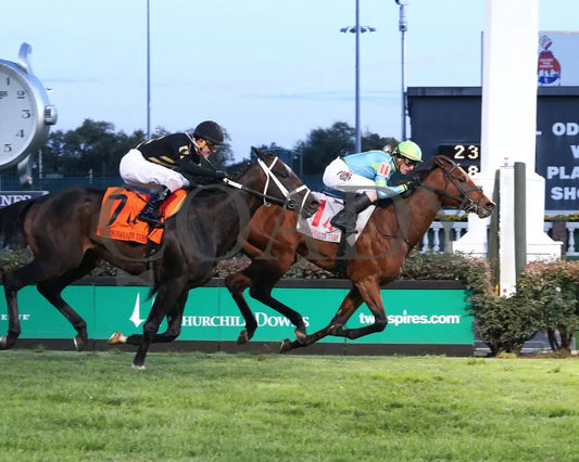 Mr Dumas - Commonwealth Turf G3 167Th Running 11-09-19 R10 Cd Finish 01 Churchill Downs