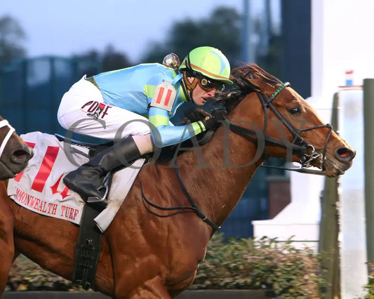 Mr Dumas - Commonwealth Turf G3 167Th Running 11-09-19 R10 Cd Finish 02 Churchill Downs