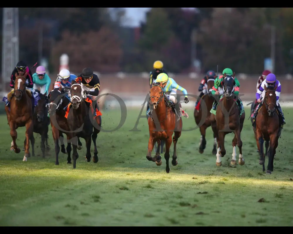 Mr Dumas - Commonwealth Turf G3 167Th Running 11-09-19 R10 Cd Head On 01 Churchill Downs