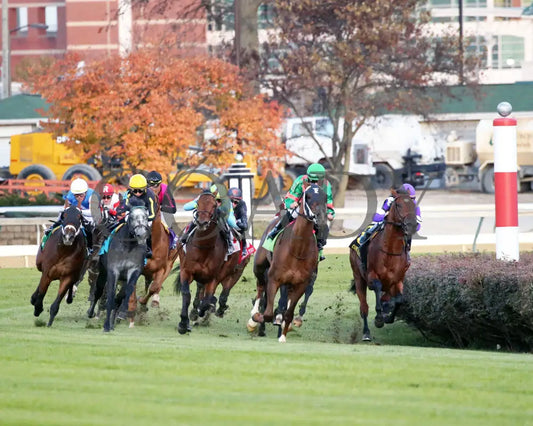 Mr Dumas - Commonwealth Turf G3 167Th Running 11-09-19 R10 Cd Turn 01 Churchill Downs