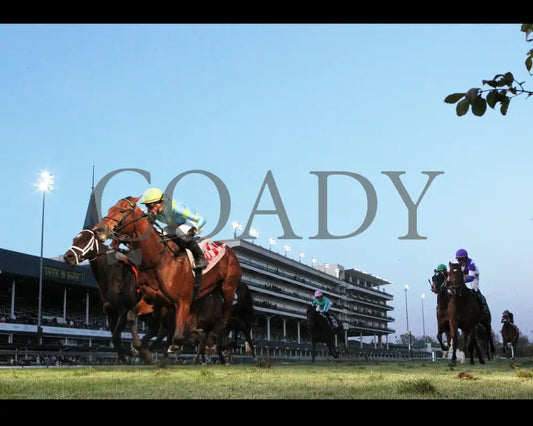 Mr Dumas - Commonwealth Turf G3 167Th Running 11-09-19 R10 Cd Under Rail 01 Churchill Downs