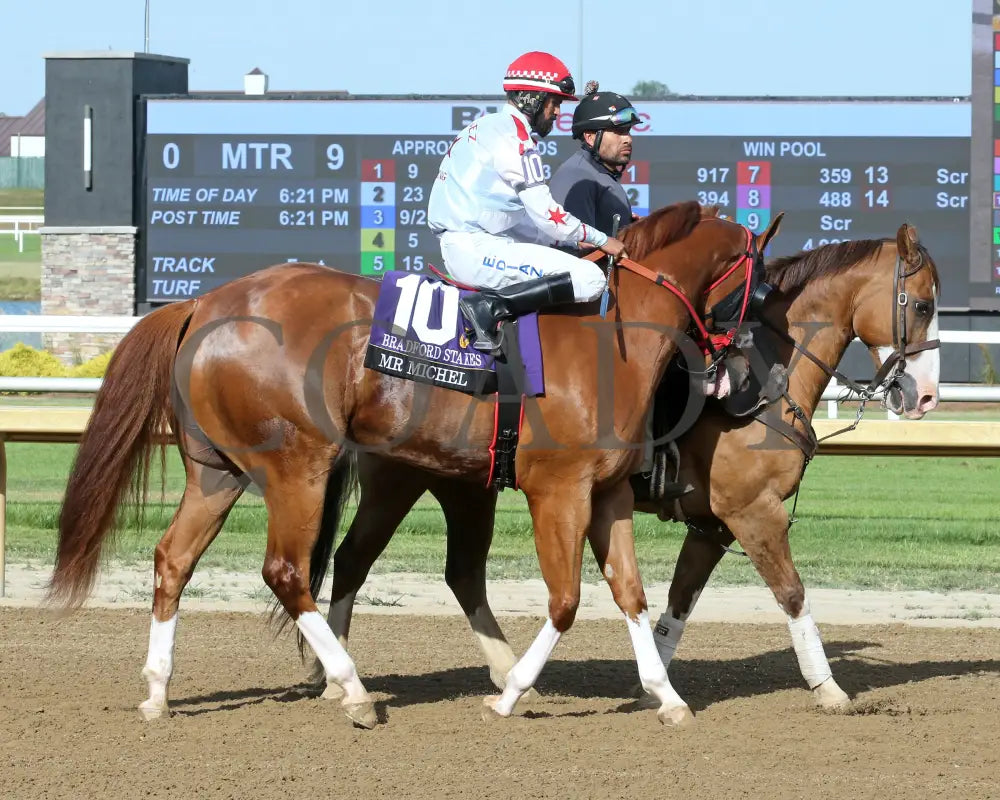 Mr Michel - Bradford Stakes 07-03-24 R09 Horseshoe Indiana Post Parade 01 Sammantha Pagels Grand