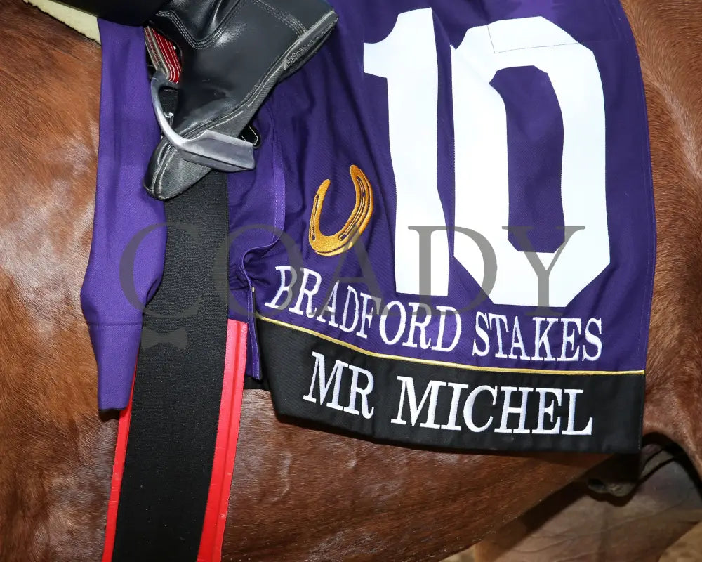 Mr Michel - Bradford Stakes 07-03-24 R09 Horseshoe Indiana Saddle Towel 01 Sammantha Pagels Grand