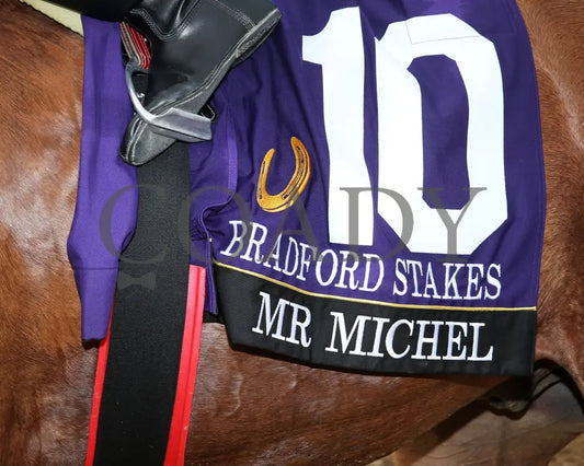 Mr Michel - Bradford Stakes 07-03-24 R09 Horseshoe Indiana Saddle Towel 01 Sammantha Pagels Grand