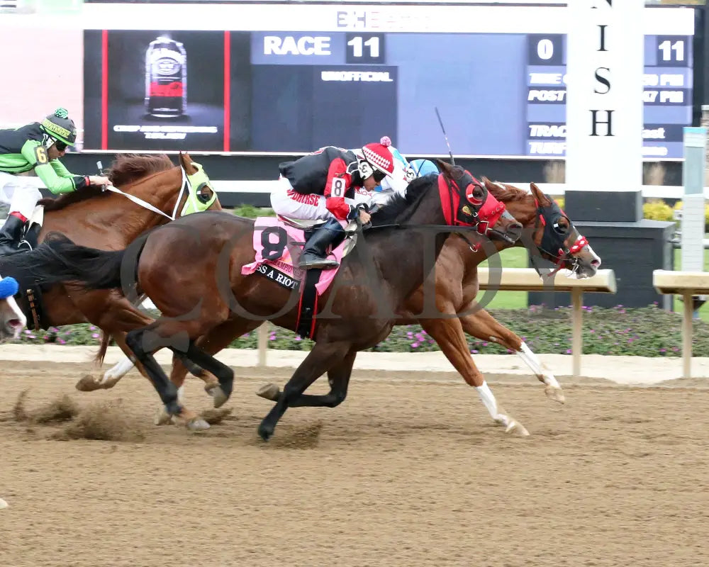 MR MICHEL - Indiana Championship - 10-25-25 - R11 - Horseshoe Indiana - Finish 01 - Sammantha Pagels Indiana Grand