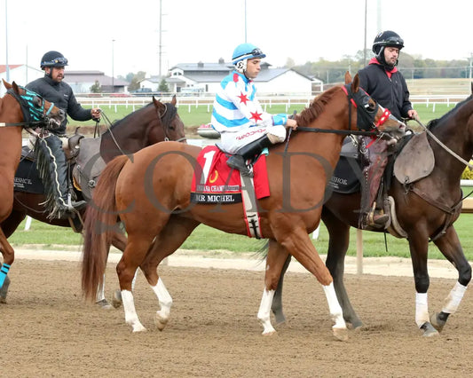 MR MICHEL - Indiana Championship - 10-25-25 - R11 - Horseshoe Indiana - Post Parade 01 - Eli Davis Indiana Grand