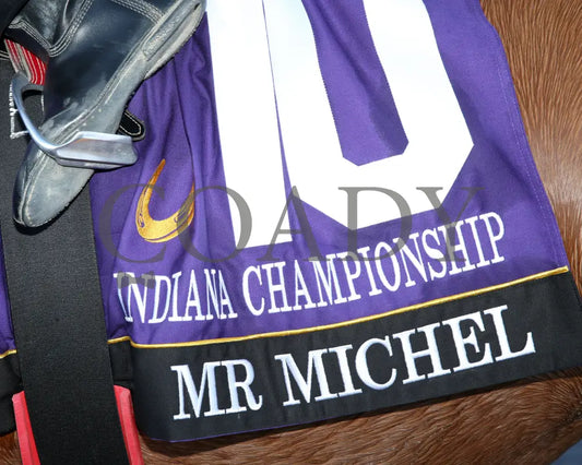 Mr Michel - Indiana Championship 10-26-24 R10 Horseshoe Saddle Towel 01 Sammantha Pagels Grand