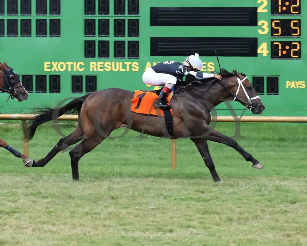 Mr. Misunderstood - 080518 Race 08 Elp Finish 01 Ellis Park