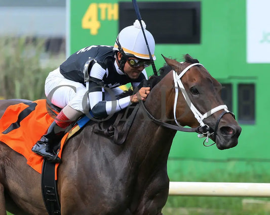 Mr. Misunderstood - 080518 Race 08 Elp Finish 03 Ellis Park