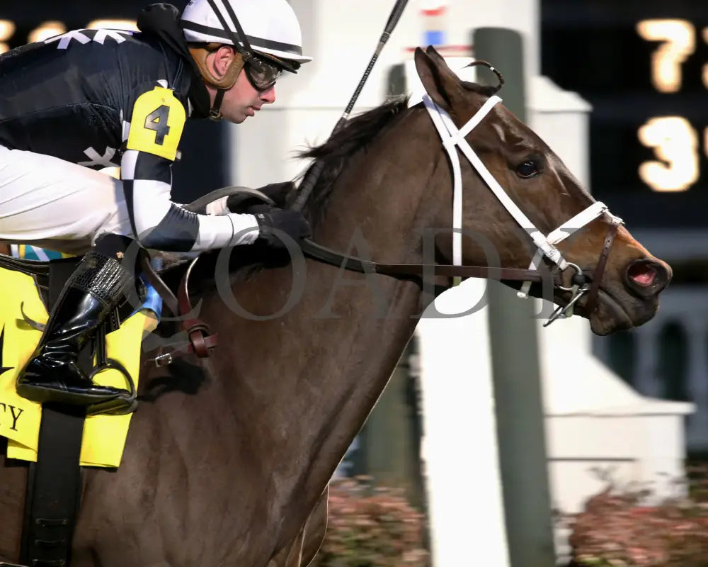 Mr. Misunderstood - The River City G3 42Nd Running 11-16-19 R10 Cd Finish 03 Churchill Downs