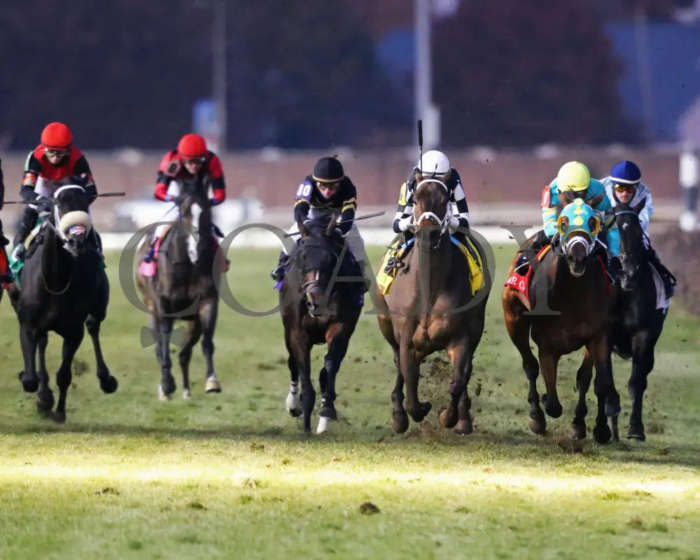 Mr. Misunderstood - The River City G3 42Nd Running 11-16-19 R10 Cd Head On 01 Churchill Downs