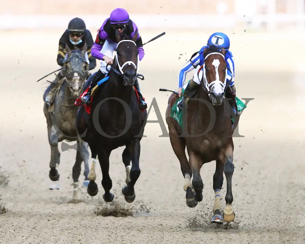 Mr. Money - Ack G3 28Th Running 09-26-20 R09 Cd Head On 02 Churchill Downs