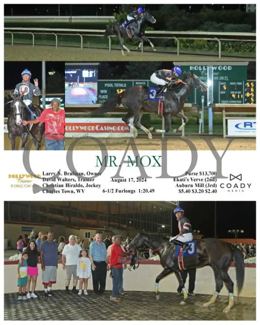 Mr. Mox - 08-17-24 R05 Ct Hollywood Casino At Charles Town Races