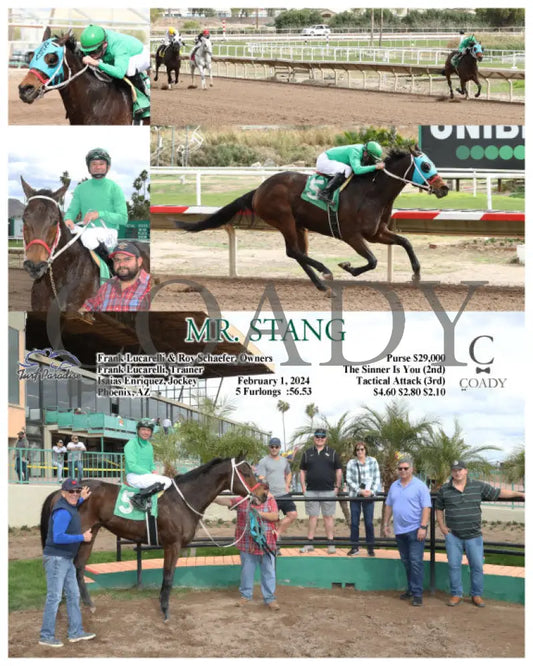 Mr. Stang - 02-01-24 R04 Tup Turf Paradise