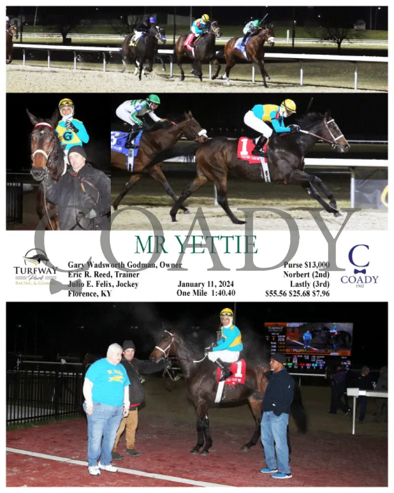 Mr Yettie - 01-11-24 R09 Tp Turfway Park