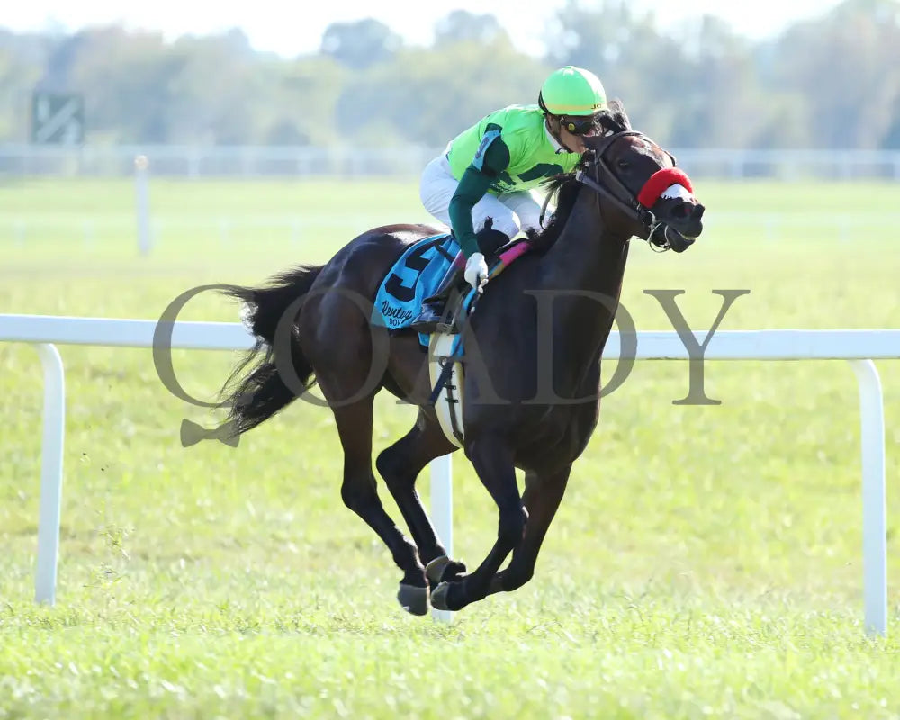 Ms Bad Behavior - Three Chimneys Ladies Turf G3 26Th Running 09-07-19 R08 Kd Finish 03 Kentucky