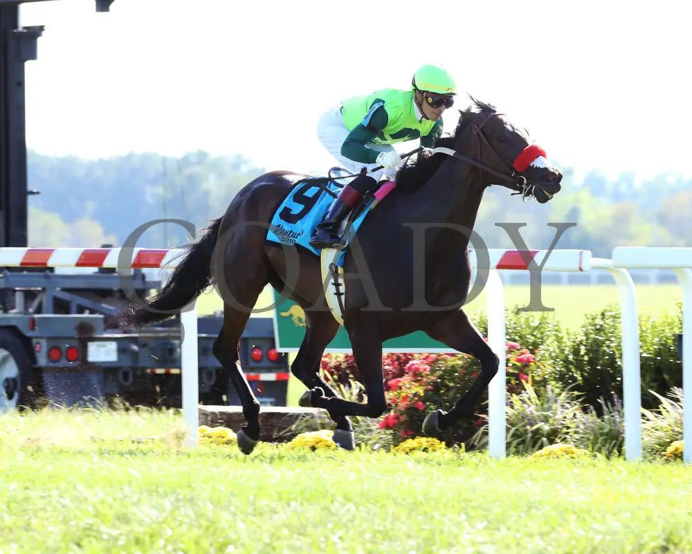 Ms Bad Behavior - Three Chimneys Ladies Turf G3 26Th Running 09-07-19 R08 Kd Finish 04 Kentucky