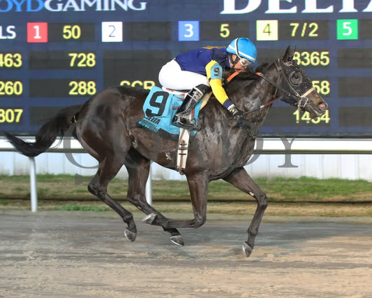 Muchmorethanready - La Bred Premier Ladies Starter 02-03-24 R04 Delta Downs Finish