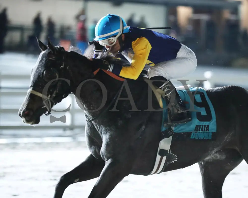 Muchmorethanready - La Bred Premier Ladies Starter 02-03-24 R04 Delta Downs Inside Finish