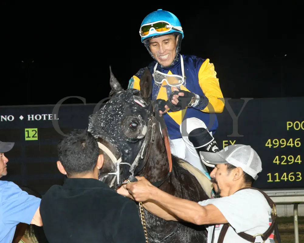 Muchmorethanready - La Bred Premier Ladies Starter 02-03-24 R04 Delta Downs Return Shot 2