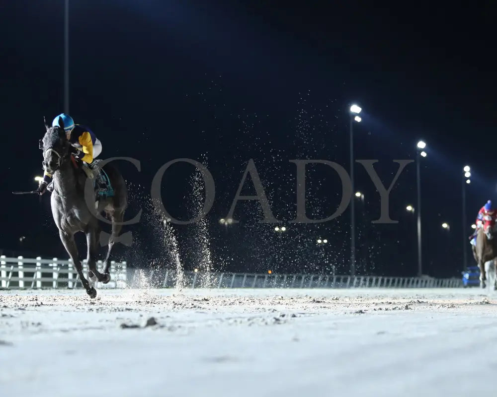 Muchmorethanready - La Bred Premier Ladies Starter 02-03-24 R04 Delta Downs Under Rail