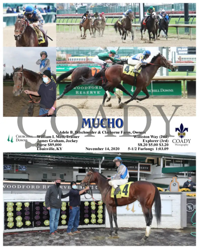 Mucho - 11-14-20 R07 Cd Churchill Downs