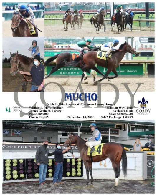 Mucho - 11-14-20 R07 Cd Churchill Downs