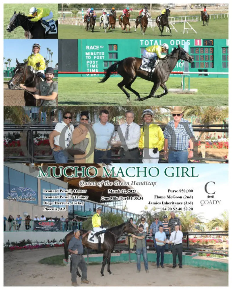 MUCHO MACHO GIRL - Queen of the Green Handicap - 03-22-25 - R08 - TUP Turf Paradise