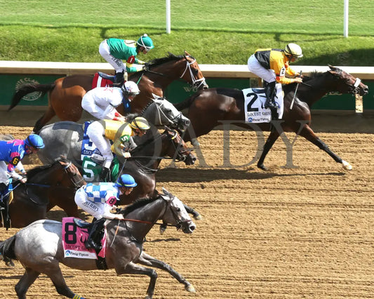Musical Mischief - The Fasig-Tipton Locust Grove G2 09-14-24 R07 Cd Aerial First Pass 01 Churchill